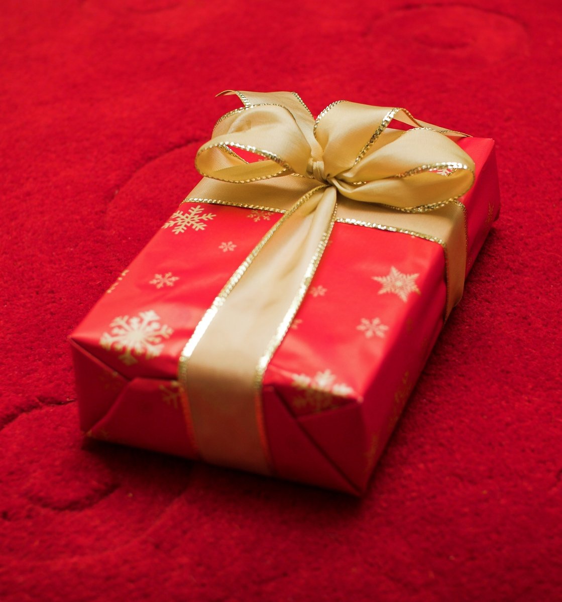 christmas gift ideas for dogs